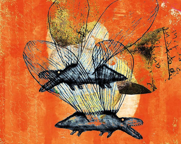 Flygande djur på orange bakgrund
