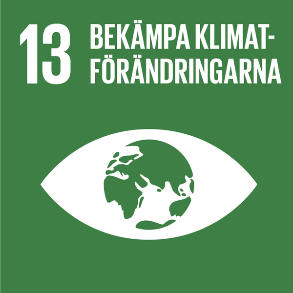 Agenda 2030 Mål 13 - Bekämpa klimatförändringarna