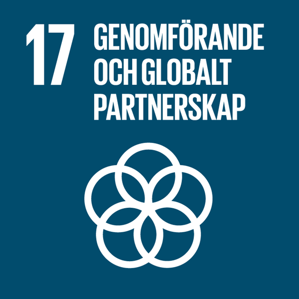 Agenda 2030 Mål 17 - Genomförande och globalt partnerskap