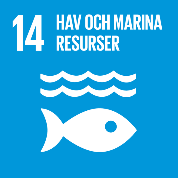 Agenda 2030 Mål 14 - hav och marina resurser